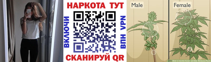 Наркота Рославль Конопля  МЕТАМФЕТАМИН  ГАШИШ  Кодеин  Амфетамин 