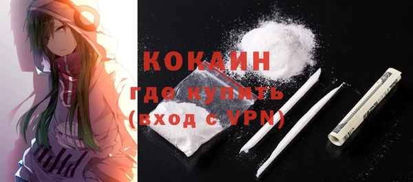 ешки Аркадак