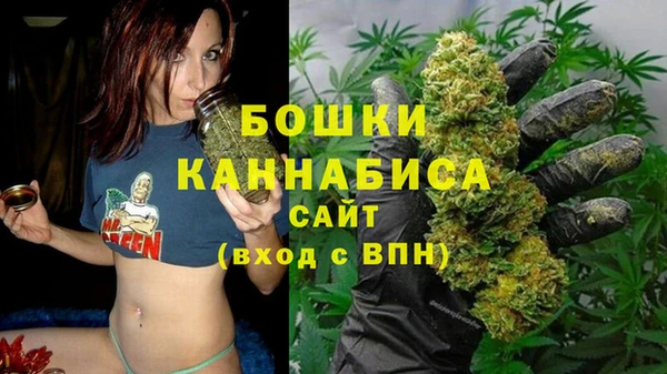 ешки Аркадак