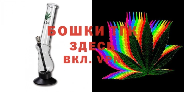 ешки Аркадак