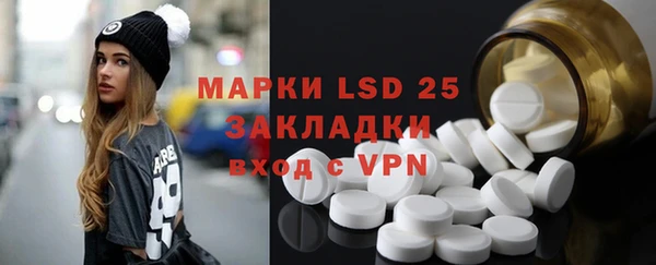 ешки Аркадак