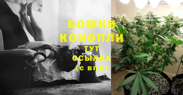 ГАЛЛЮЦИНОГЕННЫЕ ГРИБЫ Арсеньев